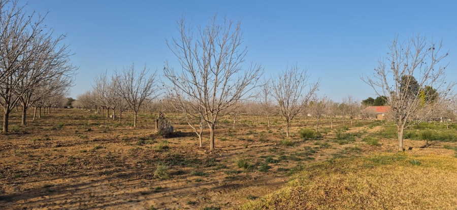 Commercial Property for Sale in Douglas Northern Cape